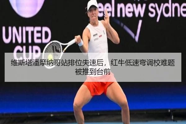 wei-si-ta-pan-mo-na-ge-zhan-pai-wei-shi-su-hou-hong-niu-di-su-wan-diao-xiao-nan-ti-bei-tui-dao-tai-qian-2-269.jpg